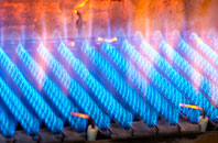 Truemans Heath gas fired boilers
